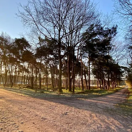 Lovely House Casa Colores Center 7p