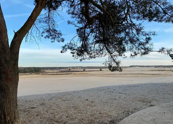 Lovely House Casa Colores Center 7p Τίλμπουργκ