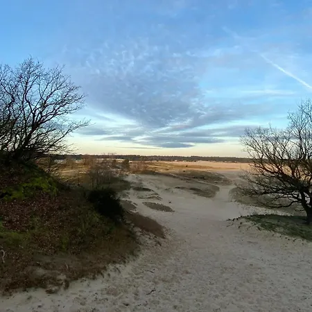 Lovely House Casa Colores Center 7p