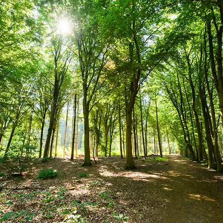 Semesterbostad Lovely House Casa Colores Center 7p Tilburg