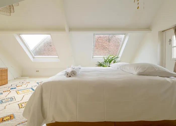 Lovely House Casa Colores Center 7p Vakantiehuis *