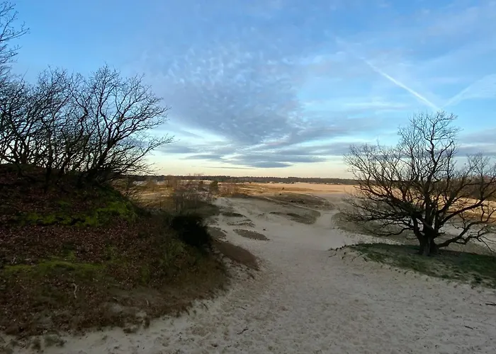 Lovely House Casa Colores Center 7p