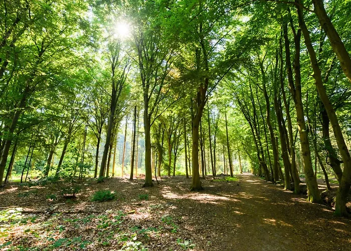 Vakantiehuis Lovely House Casa Colores Center 7p Tilburg